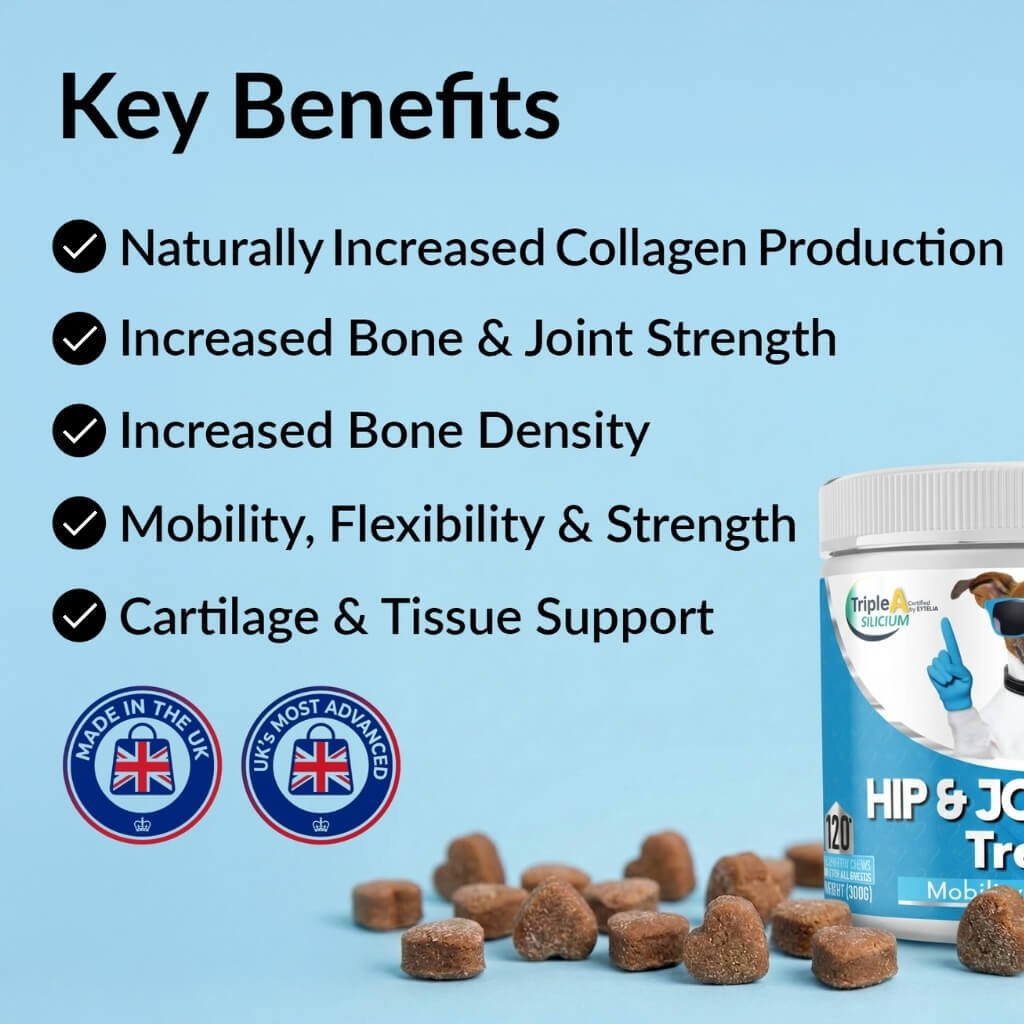 Hip & Joint Treats Plus - NutriPaw