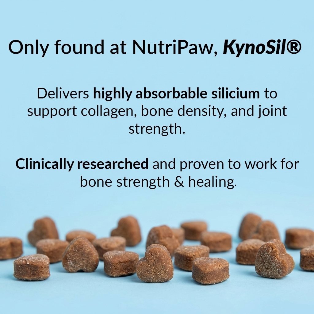 Hip & Joint Treats Plus - NutriPaw