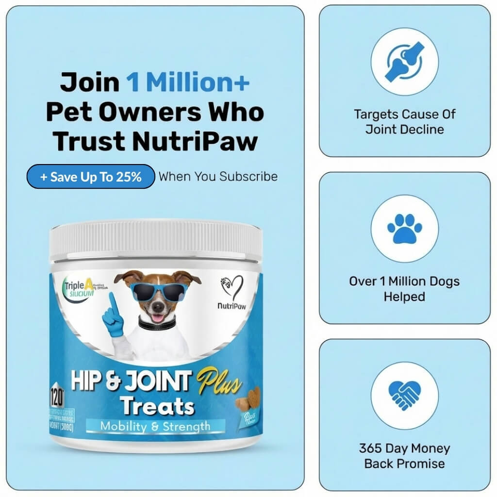 Hip & Joint Treats Plus - NutriPaw
