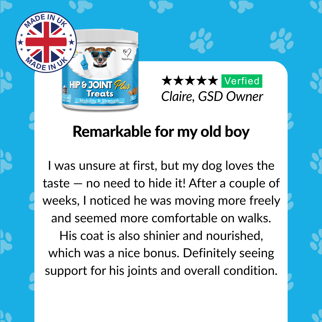 Hip & Joint Treats Plus - NutriPaw