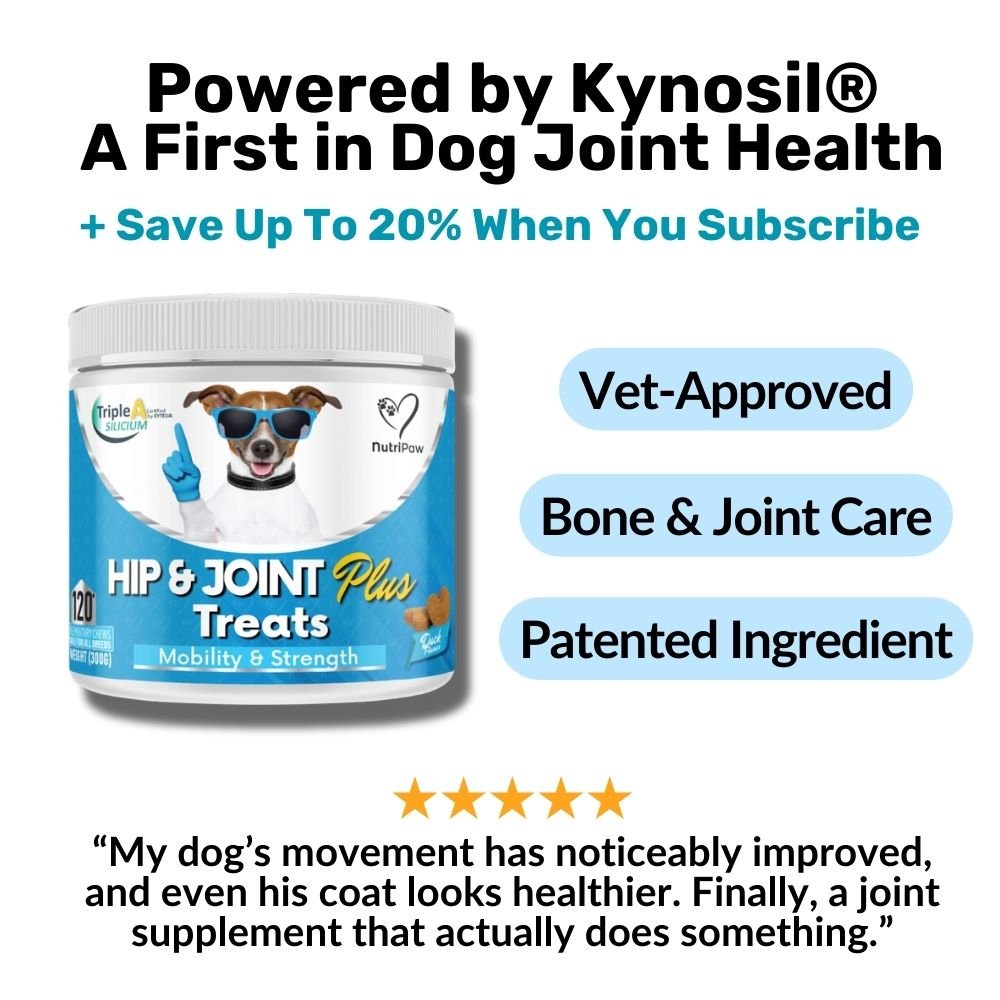 Hip & Joint Treats Plus - NutriPaw
