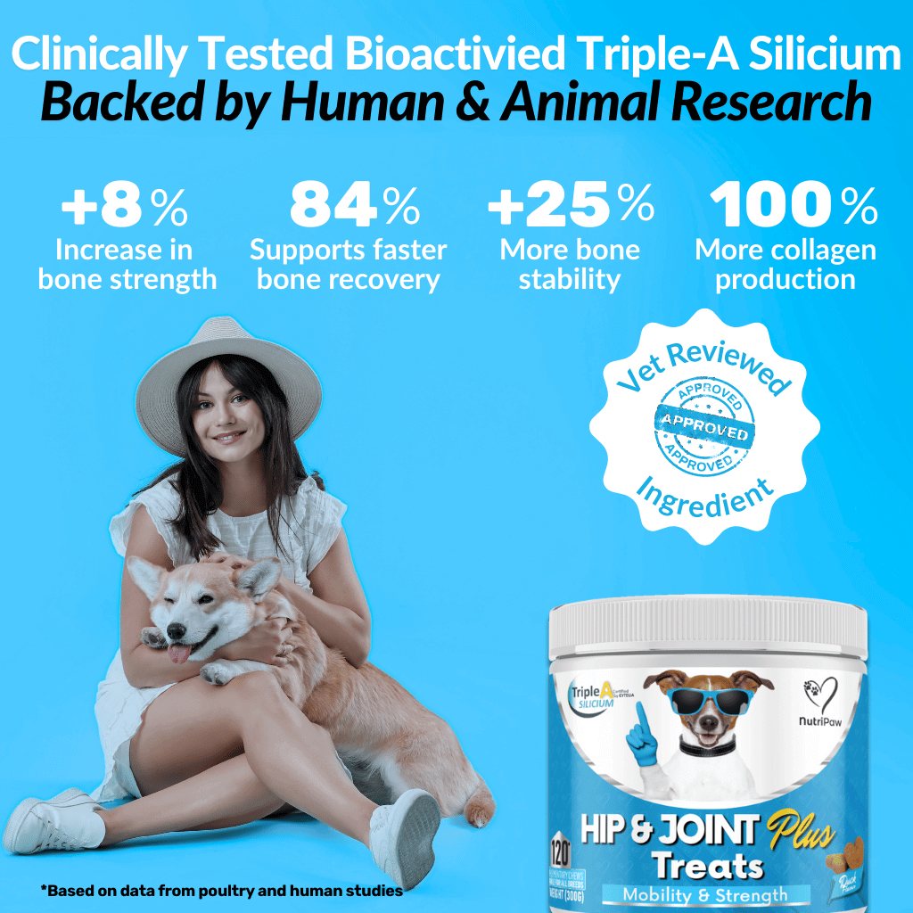 Hip & Joint Treats Plus - NutriPaw