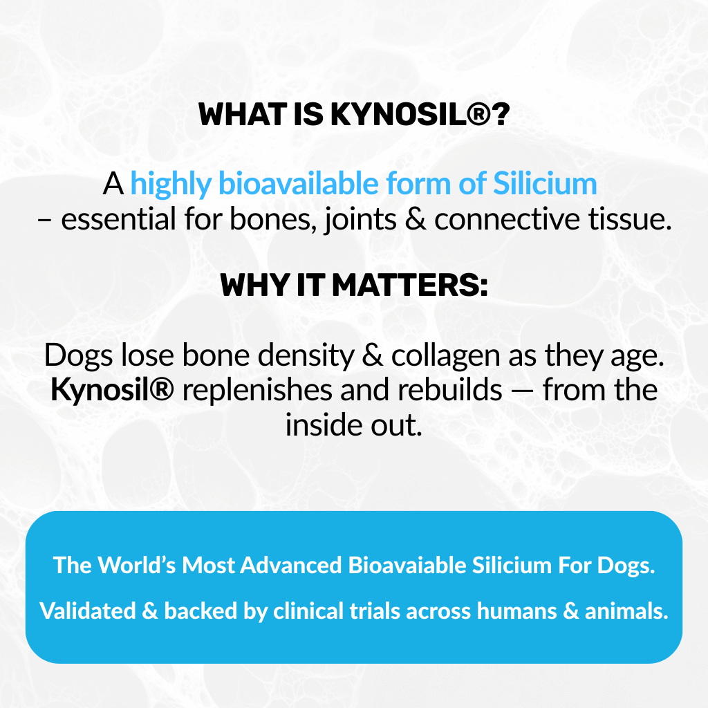 Hip & Joint Treats Plus - NutriPaw