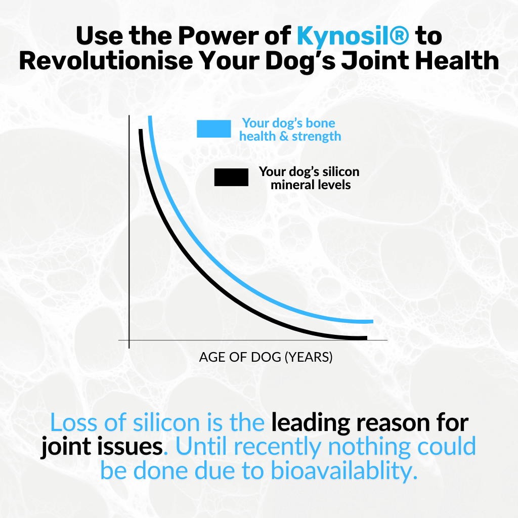 Hip & Joint Treats Plus - NutriPaw