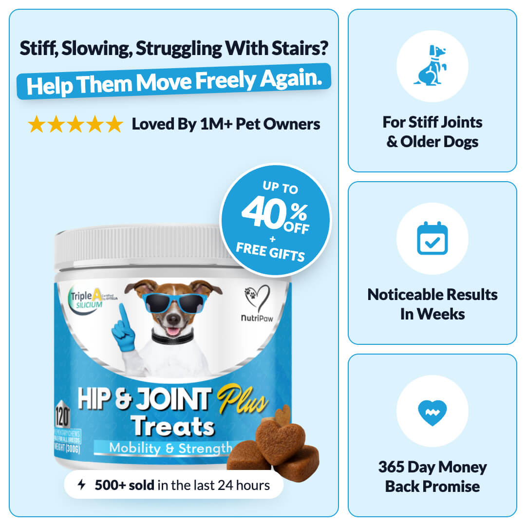 Hip & Joint Treats Plus - NutriPaw