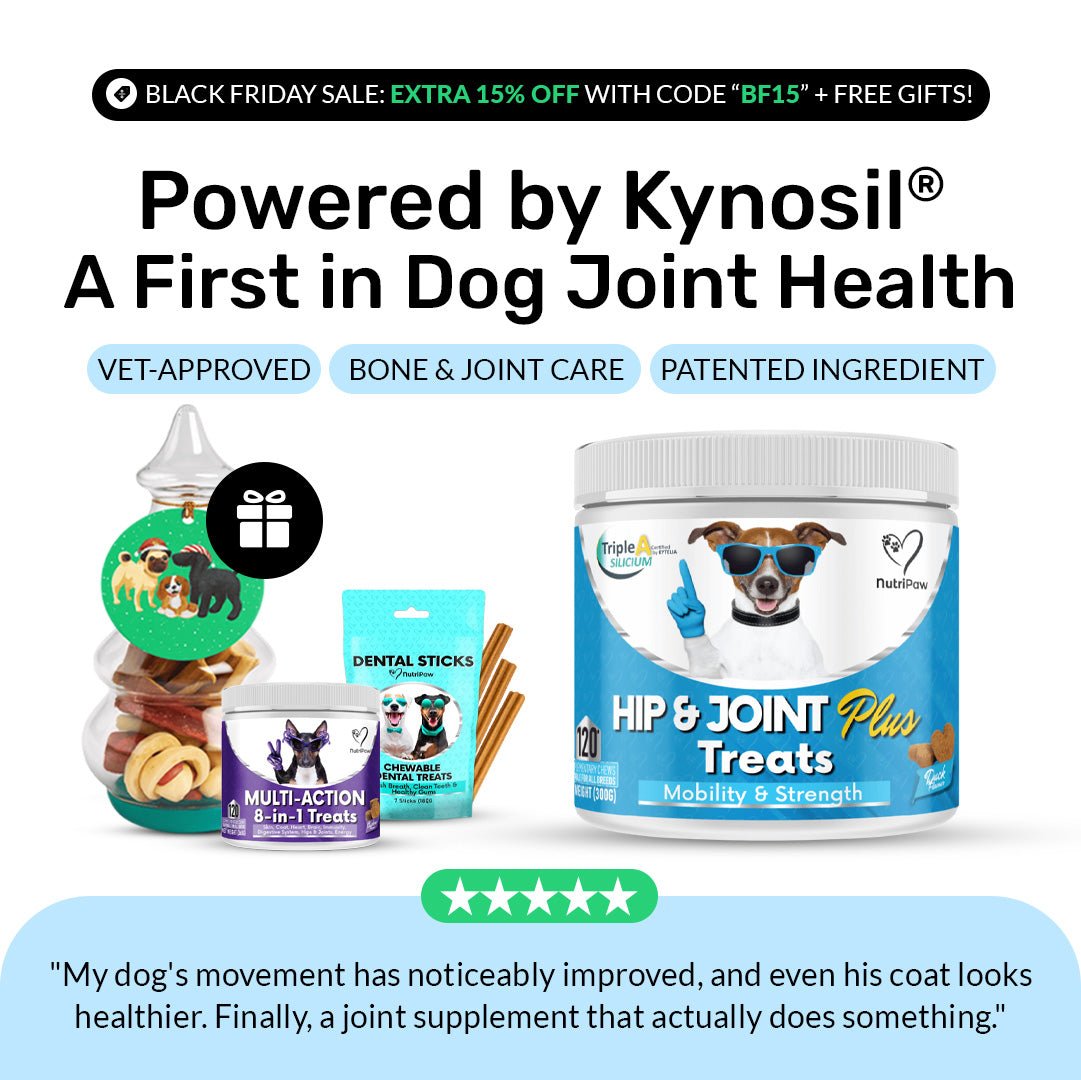 Hip & Joint Treats Plus - NutriPaw