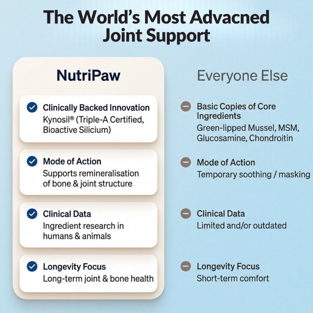 Hip & Joint Treats Plus - NutriPaw