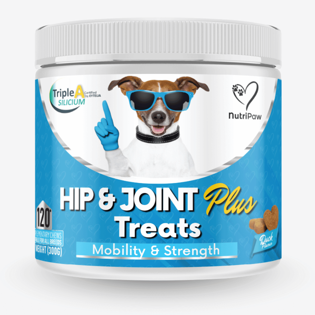 Hip & Joint Treats Plus BFCM - NutriPaw