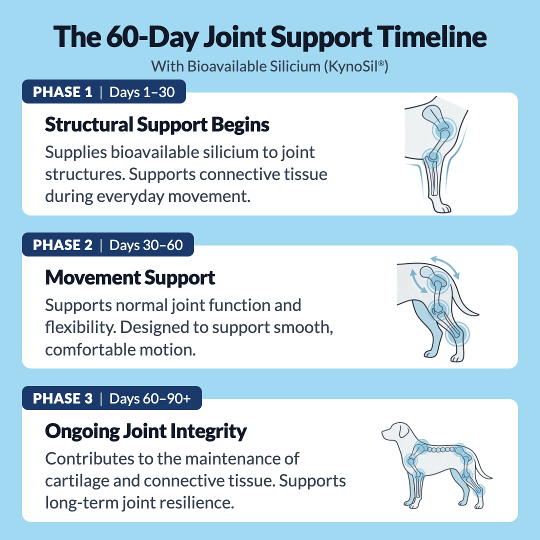 Hip & Joint Treats Plus BFCM - NutriPaw
