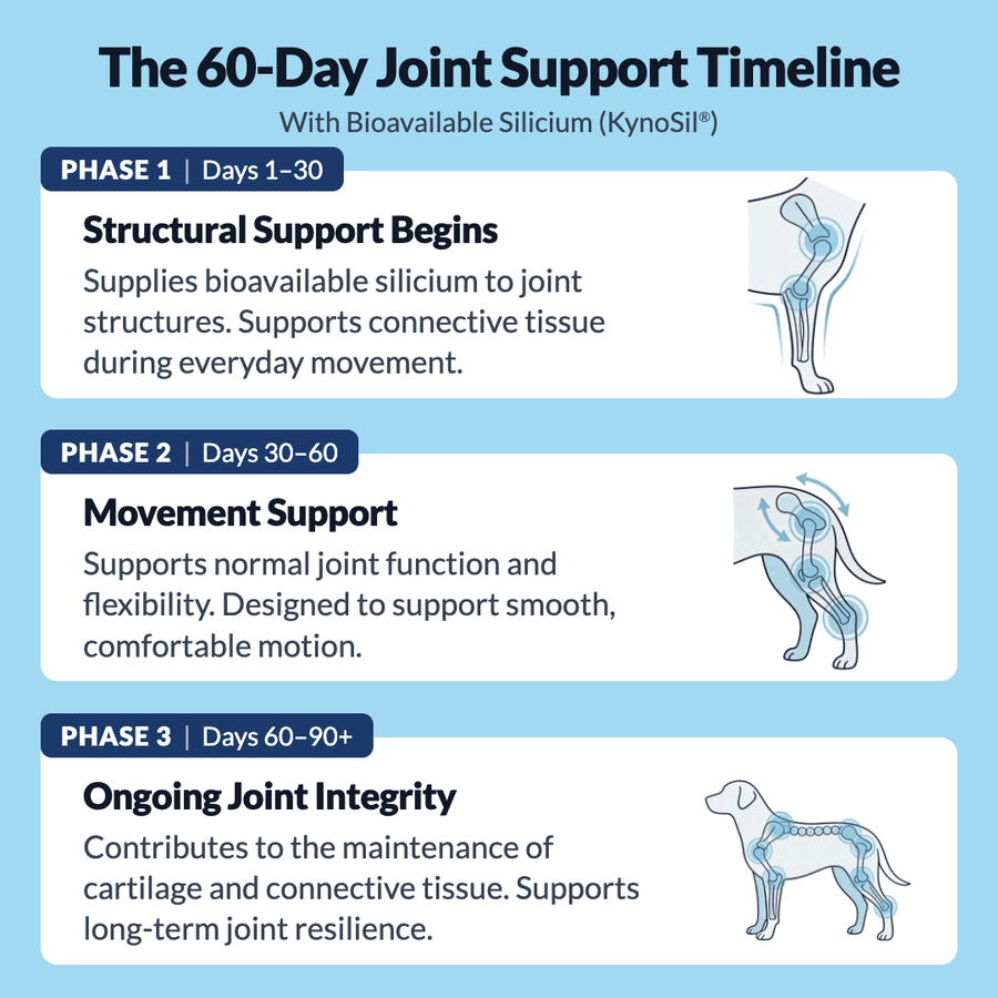 Hip & Joint Treats Plus BFCM - NutriPaw
