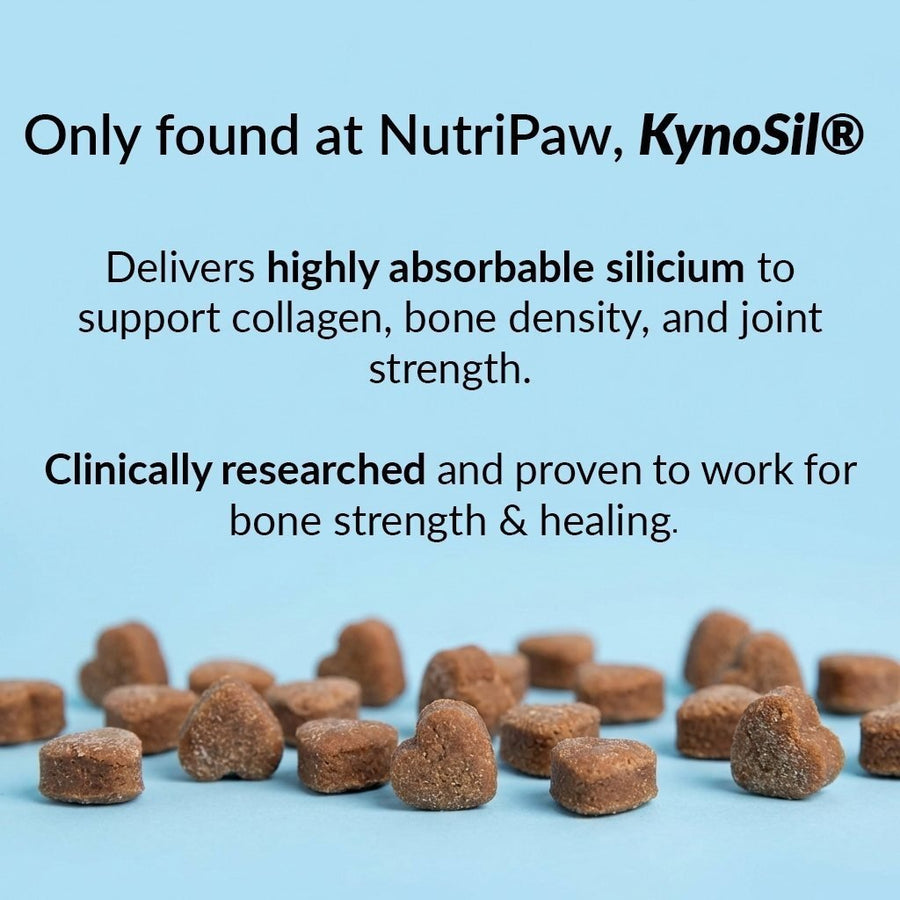 Hip & Joint Treats Plus BFCM - NutriPaw