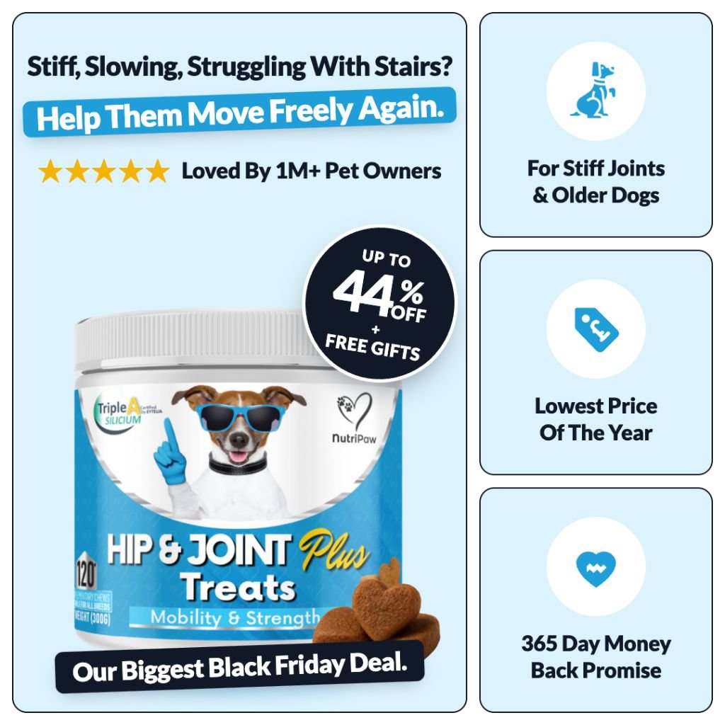Hip & Joint Treats Plus BFCM - NutriPaw