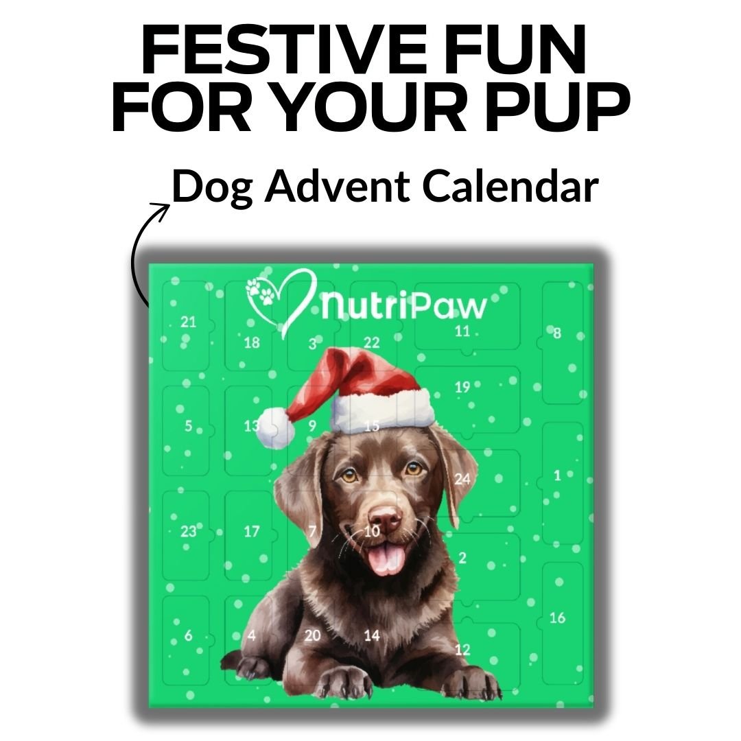 Holiday Treat Bundle - NutriPaw