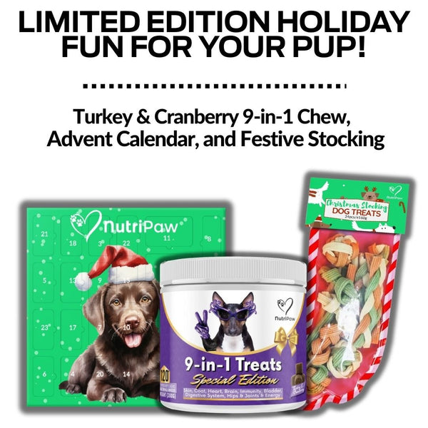 Holiday Treat Bundle - NutriPaw