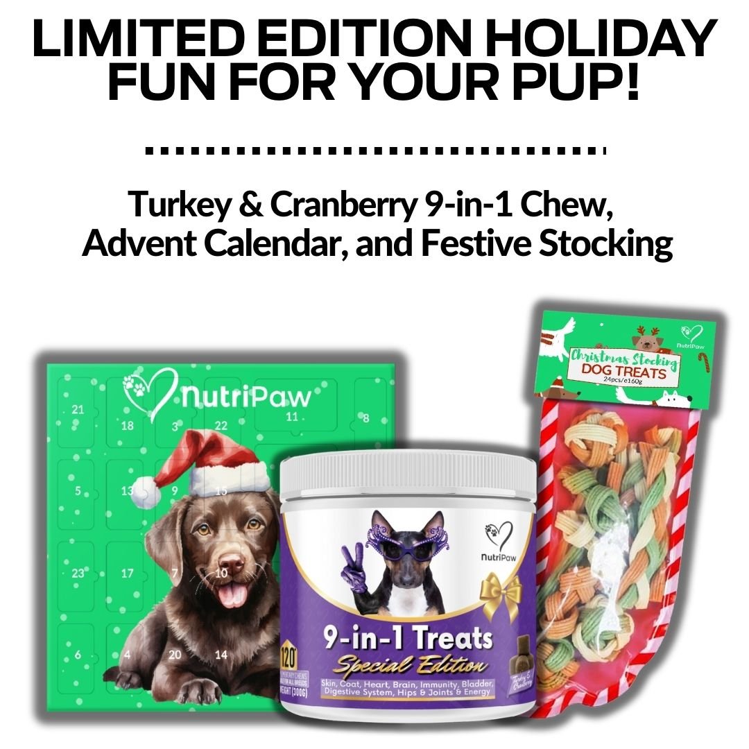 Holiday Treat Bundle - NutriPaw