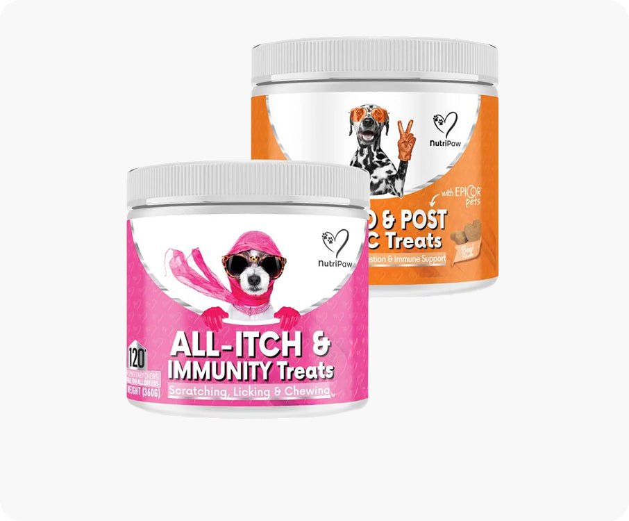Immunity Defence & Itch Kit BFCM - NutriPaw