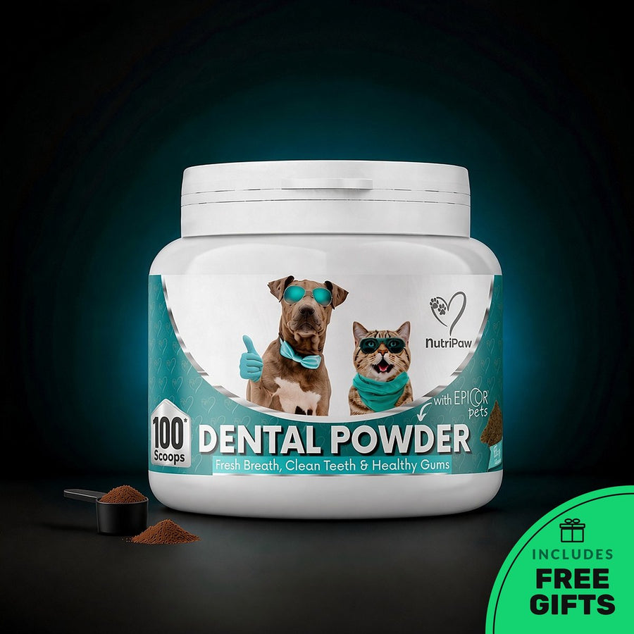 Dental Powder