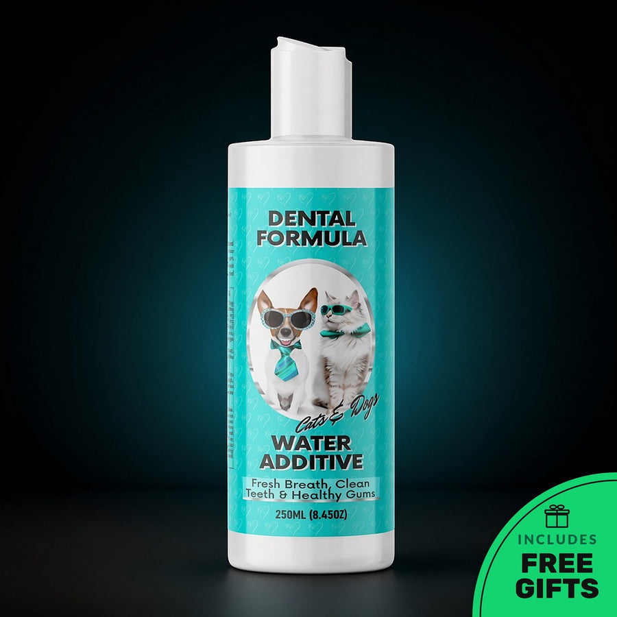 Dental Water