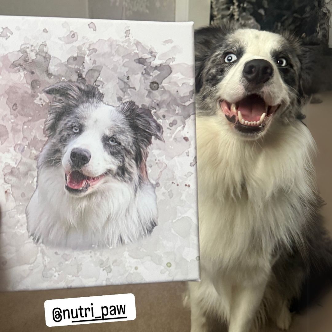 NutriPaw Personalised Pet Portrait - NutriPaw