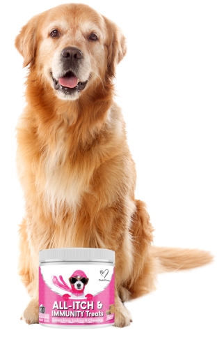 are dog vitamins with palm fruit oil safe