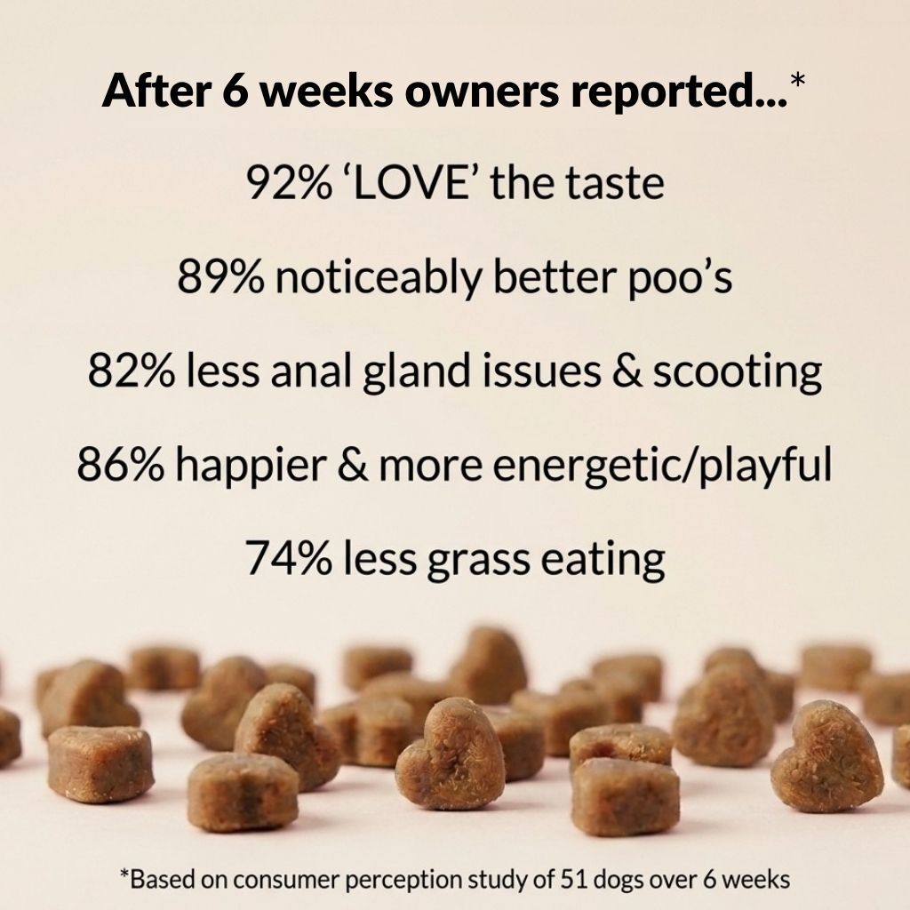 Pre, Pro & Postbiotic Digestive Treats - NutriPaw