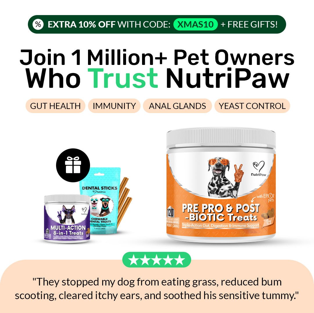 //nutri-paw.com/cdn/shop/files/pre-pro-postbiotic-digestive-treats-2562590.jpg?v=1765737788