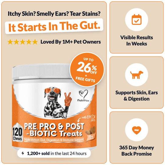 Pre, Pro & Postbiotic Digestive Treats - NutriPaw