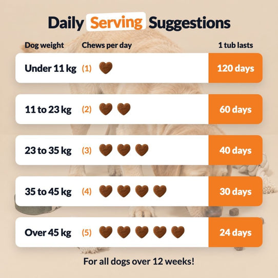 Pre, Pro & Postbiotic Digestive Treats - NutriPaw