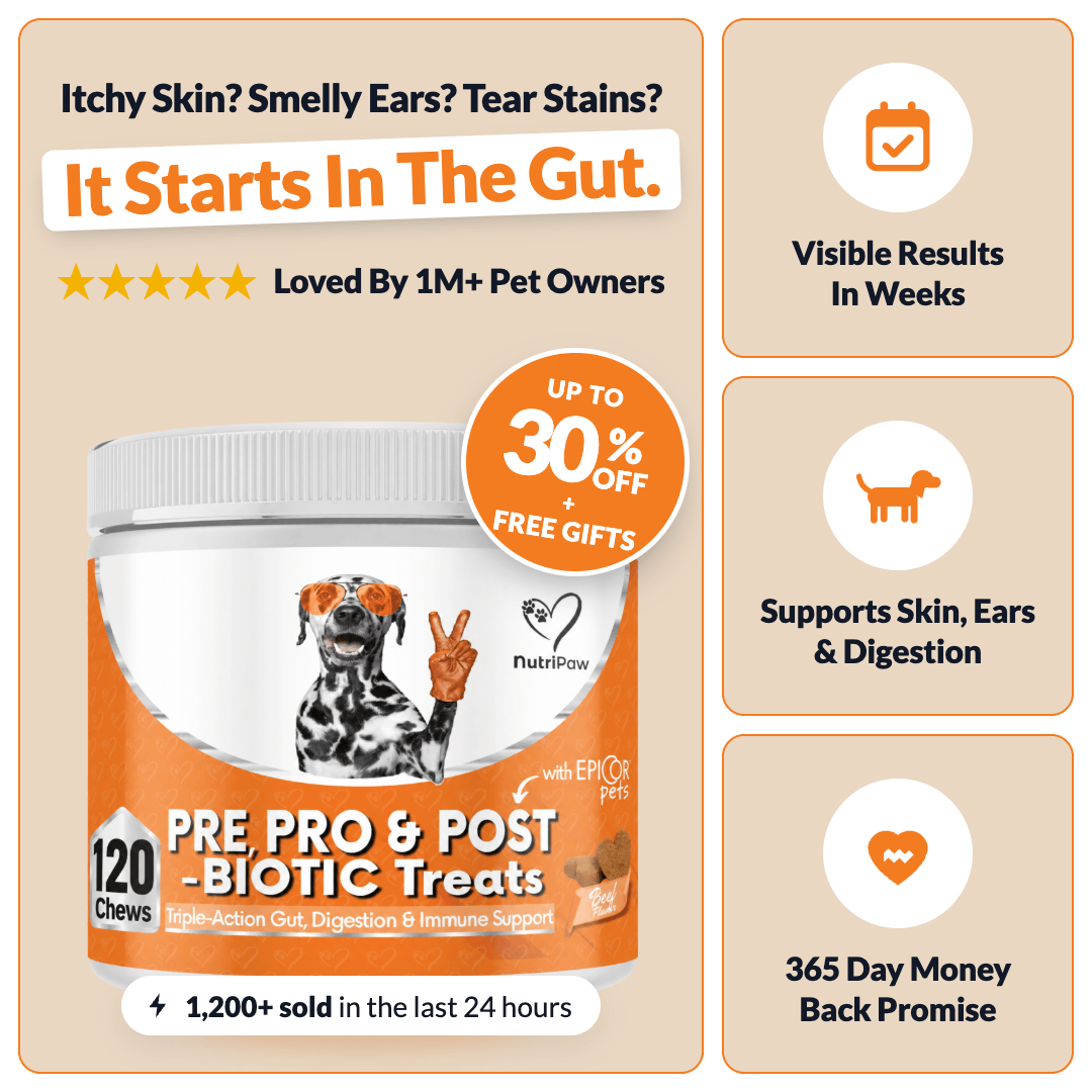 Pre, Pro & Postbiotic Digestive Treats - NutriPaw