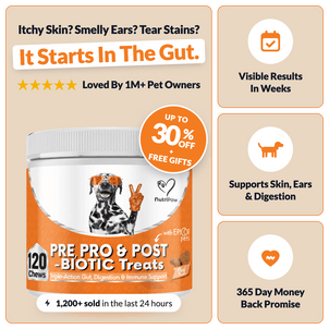 Pre, Pro & Postbiotic Digestive Treats - NutriPaw