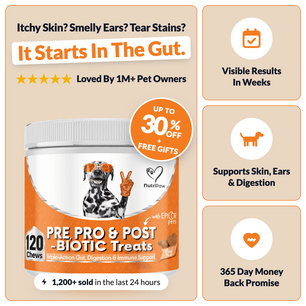 Pre, Pro & Postbiotic Digestive Treats - NutriPaw