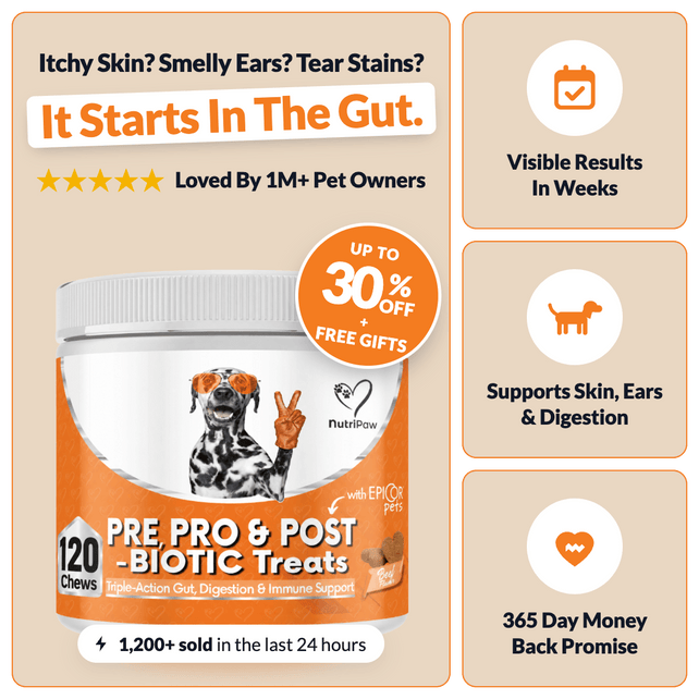 Pre, Pro & Postbiotic Digestive Treats - NutriPaw