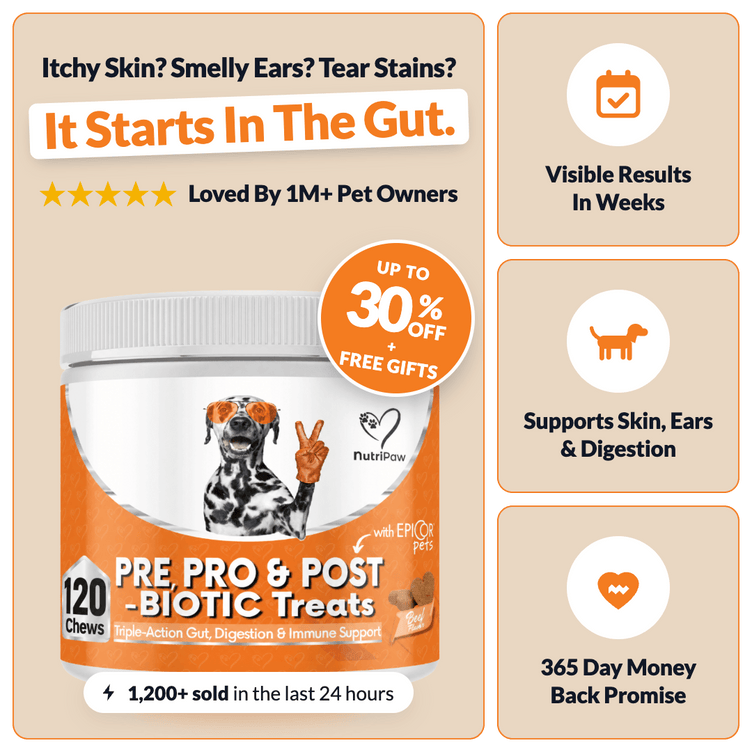 Pre, Pro & Postbiotic Digestive Treats - NutriPaw