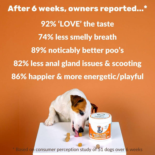 Dynamic Pre/pro Perth Pre, Pro & Postbiotic Digestive Treats BFCM - NutriPaw