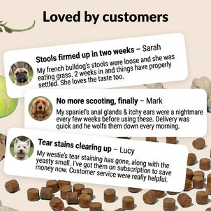 Pre, Pro & Postbiotic Digestive Treats - NutriPaw
