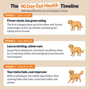 Pre, Pro & Postbiotic Digestive Treats - NutriPaw