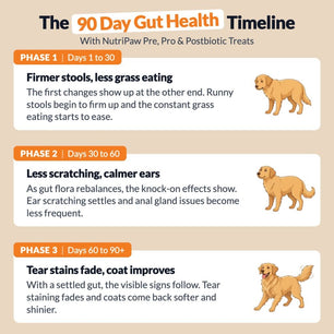 Pre, Pro & Postbiotic Digestive Treats - NutriPaw