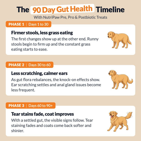 Pre, Pro & Postbiotic Digestive Treats - NutriPaw