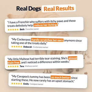 Pre, Pro & Postbiotic Digestive Treats - NutriPaw