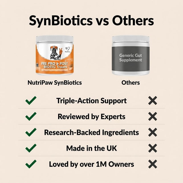 Pre, Pro & Postbiotic Digestive Treats - NutriPaw