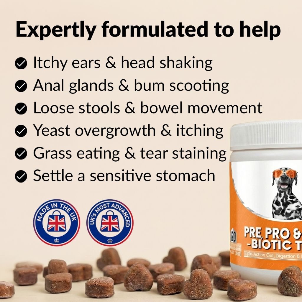 Pre, Pro & Postbiotic Digestive Treats - NutriPaw