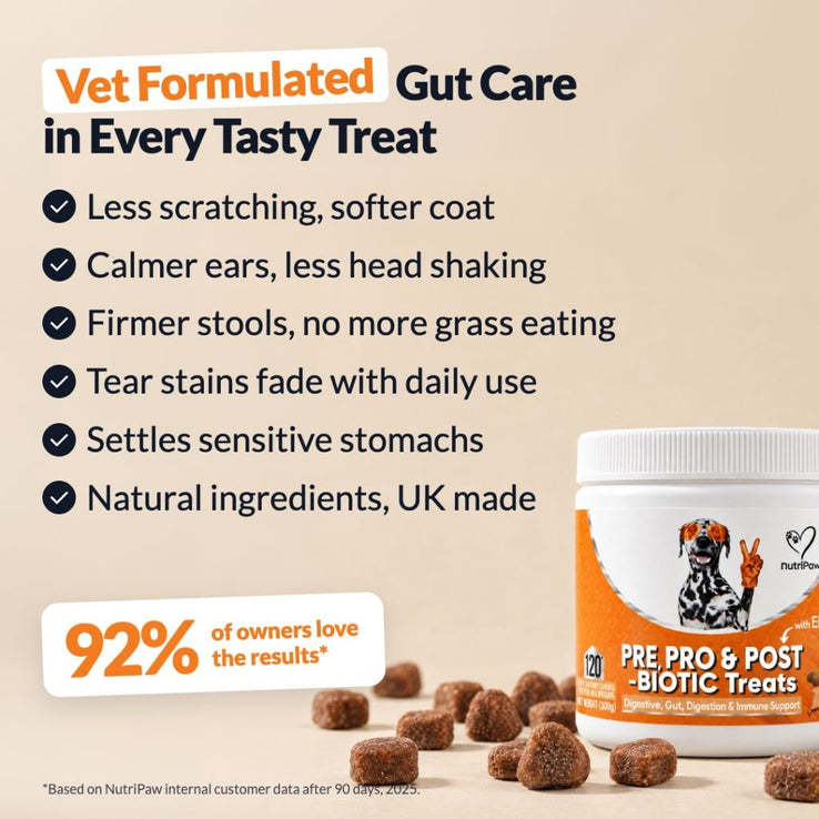 Pre, Pro & Postbiotic Digestive Treats - NutriPaw