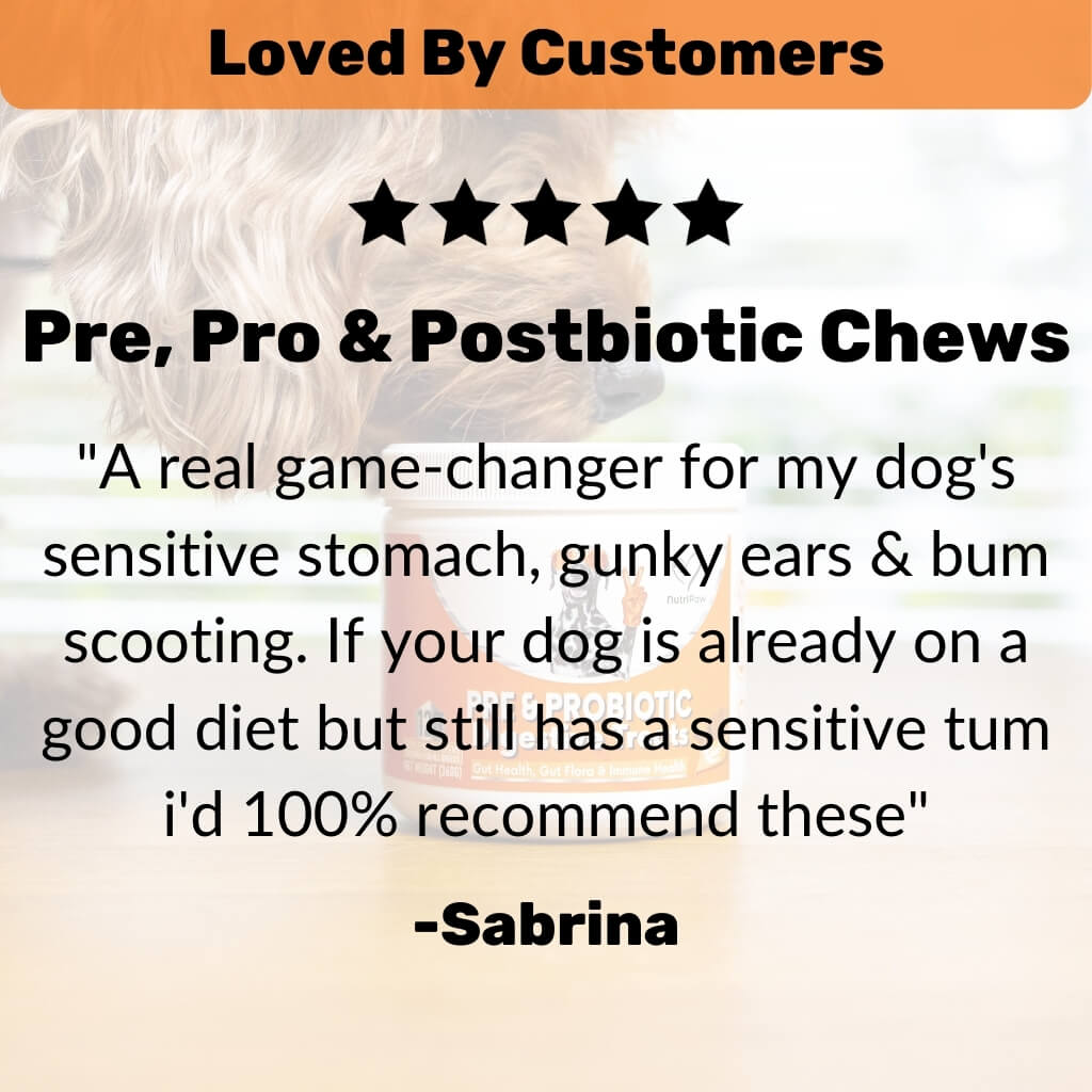 Pre, Pro & Postbiotic Digestive Treats - NutriPaw