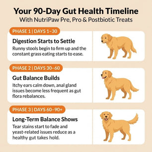 Pre, Pro & Postbiotic Digestive Treats - NutriPaw