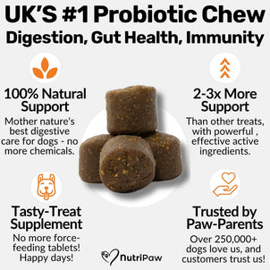 Pre, Pro & Postbiotic Digestive Treats - NutriPaw