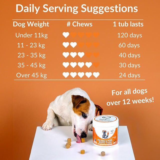 Pre, Pro & Postbiotic Digestive Treats - NutriPaw