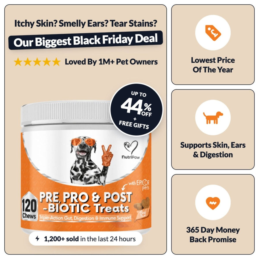 Pre, Pro & Postbiotic Digestive Treats BFCM - NutriPaw