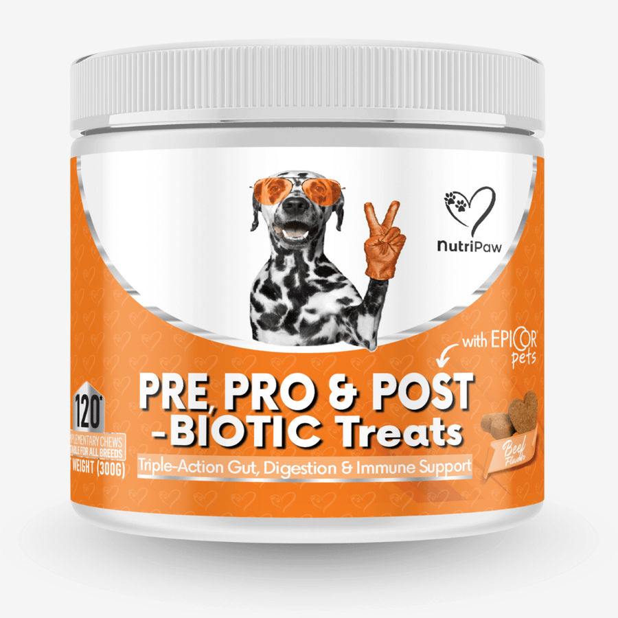 Probiotic Treats
