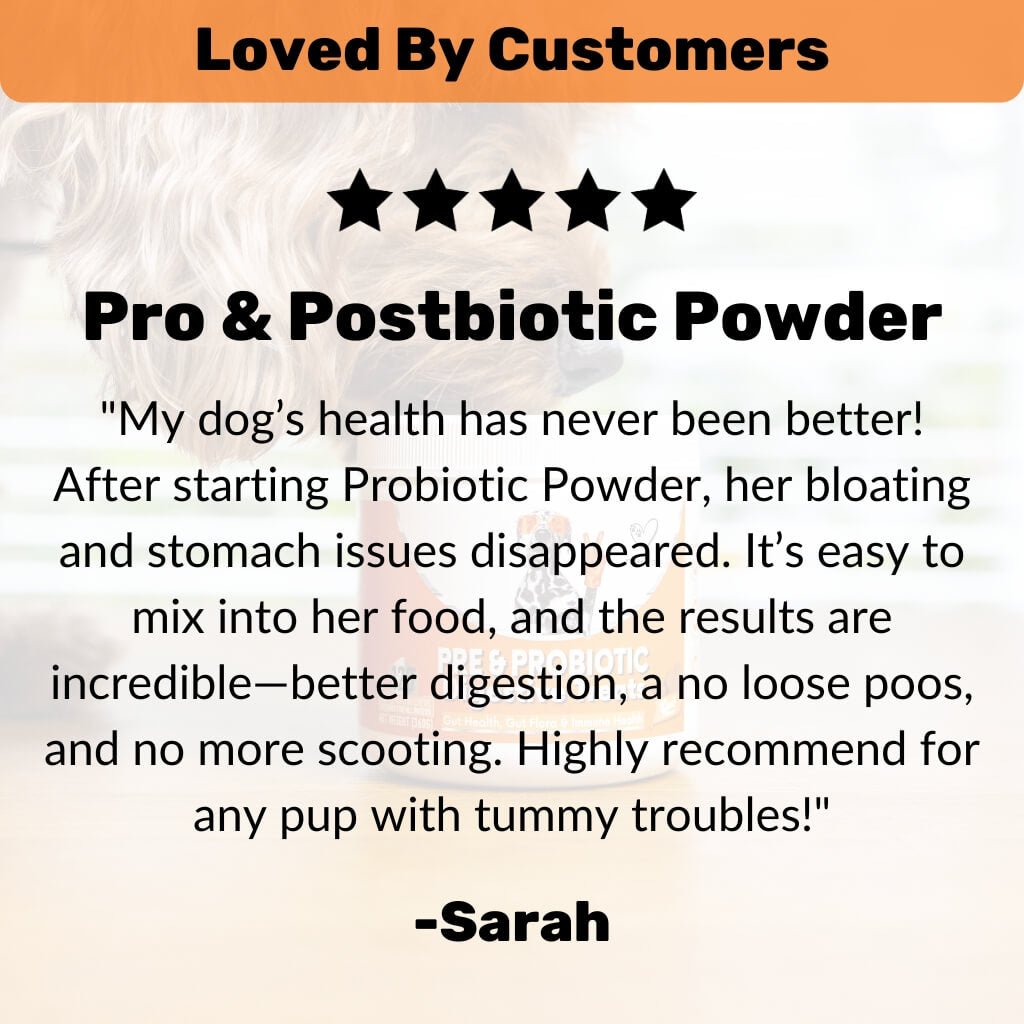 Pre, Pro &amp; Postbiotic Powder - NutriPaw