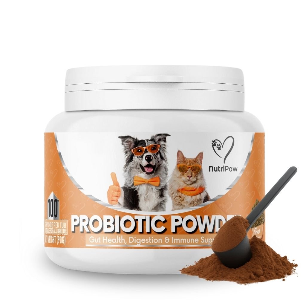 //nutri-paw.com/cdn/shop/files/pre-pro-postbiotic-powder-2095451.jpg?v=1756811956